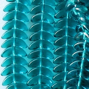 10mm Dark Aqua 'Angel Wing' Beads [50]