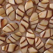 11mm Beige Striped Long Bicone Beads [50]