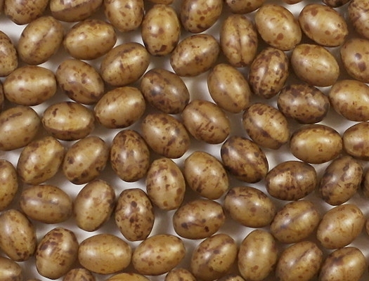 12mm Beige Picasso Oval Beads [10]