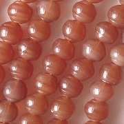 5x6mm Carnelian-Colored Snail Shell Beads [50]