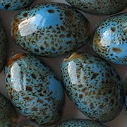 28mm Turquoise Speckled Oval Pottery Beads [5]